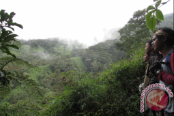 Petugas TNKS evakuasi tiga pendaki Gunung Kerinci