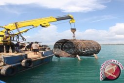 Timah Tebar "Fish Shelter" di Taluk Limau