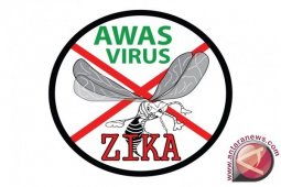 Pemprov Jabar Tingkatkan Kewaspadaan Terhadap Virus Zika