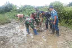 Dispotmar Lantamal Pontianak Tanam Mangrove