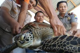 Gagalkan Pengiriman Satwa Dilindungi