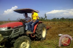 Angkola Timur Siap Ditanami Jagung