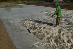Harga Garam Madura Awal Musim