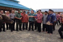Pemkab Bengkayang Serahkan 21 Ekor Sapi Kurban