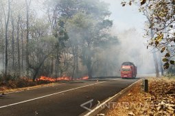 Kebakaran Hutan TN Baluran