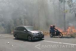 19 Hektare Hutan Taman Nasional Baluran Terbakar