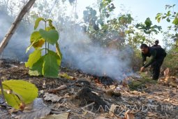 Padamkan Kebakaran Hutan