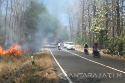 BPBD: 55 ha Hutan Baluran Situbondo Terbakar