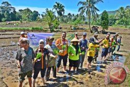 Tambang Martabe Dukung Swasembada Pangan di Sipenggeng