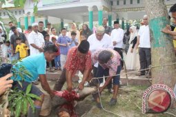 Pemkab Asahan Sembelih 102 Hewan Kurban