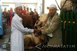 Warga NU Surabaya Sembelih 11.000 Hewan Kurban