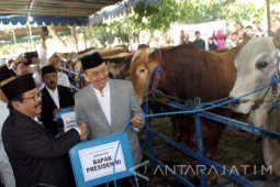 Idul Adha Gubernur Jatim
