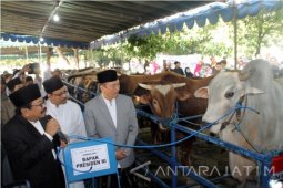Gubernur Jatim Serahkan Kurban Presiden ke Masjid Al-Akbar