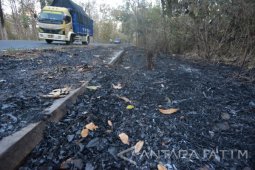 Kebakaran Taman Nasional Baluran