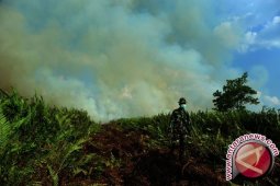 BNPB : 3.500 Personil Dikerahkan Atasi Karhutla Kalbar