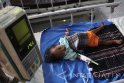 DBD di Jombang Tembus 700 Kasus 8 Orang Meninggal