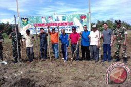 3.252 hektare lahan dapat bantuan benih jagung