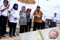 Bupati  dan pejabat Kemenhub tinjau pelabuhan roro Kualatungkal