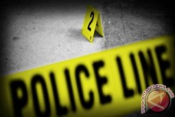 Warga Gorontalo Utara Tewas Tertimpa Pohon Tumbang