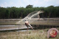 Legislator : Potensi Ikan Kapuas Hulu Menjanjikan