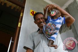Bayi Orangutan Peliharaan Warga