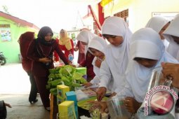 Siswa Tabalong nominasi nasional lomba karya ilmiah
