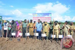TNI Dukung Swasembada Pangan