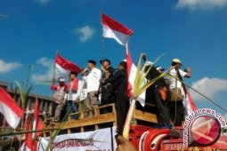 Harga Lelang Gula Petani Sedikit Membaik