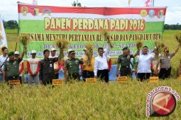 KTNA: Indonesia Bisa Kembali Swasembada Pangan