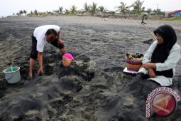 Terapi Alternatif Pasir Hitam
