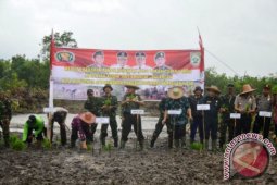 CETAK SAWAH