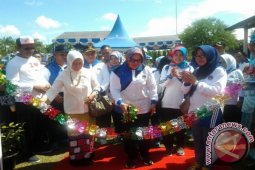 Ketua TP PKK Tabalong Buka Pameran Dagang