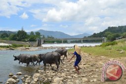 Irigasi di Abdya belum berfungsi maksimal