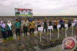 HSS Maksimalkan Pemanfaatan Lahan Kosong