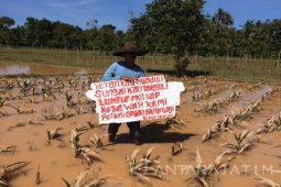 Banjir Lumpur Kembali Genangi Pulau Merah Banyuwangi