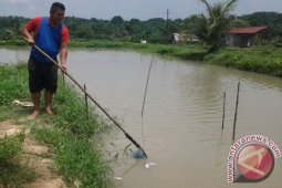 Pabrik Kelapa Sawit Cemari Irigasi Bah Bolon