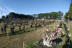 Transaksi Pameran dan Kontes Bonsai di Situbondo Ratusan Juta