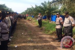 Eksekusi Lahan Perkebunan, 388 Personil TNI/Polri Disiagakan