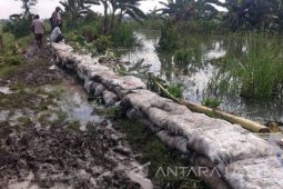 BPBD Bojonegoro Perbaiki Tanggul Kali Inggas