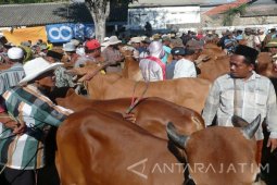 Disnak: Pasar Hewan Terpadu Beroperasi 20 Oktober