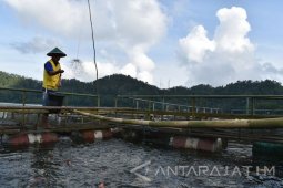 Peternak Ikan Keramba