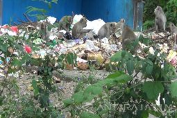 Pemkab-Perhutani "MoU" Pengembangan Objek Wisata di Situbondo