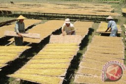 DIshutbun Bojonegoro Minta Pabrikan Beli Semua Tembakau