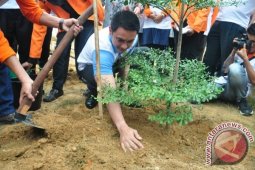 534 ribu hektare lahan di Jambi kritis