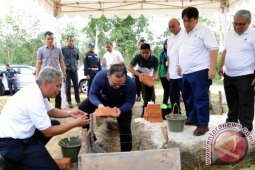 PT TAM Bangun Klaster Reklamasi Tanaman Pakan Ternak