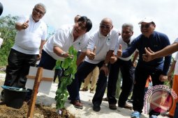 PT TAM Bangun Klaster Reklamasi Tanaman Pakan Ternak