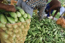 Pane Raya Jagung Manis