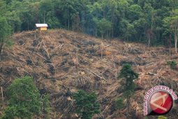 Dirjen: Butuh 48 tahun perbaiki lahan Kritis