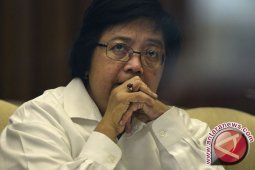 Menteri LHK: Tanaman Sengon Bernilai Ekonomi Tinggi