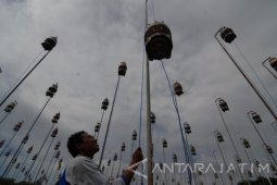 Lomba Burung Perkutut